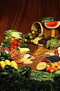 Vegetarinės mitybos įtaka gyvenimo kokybei