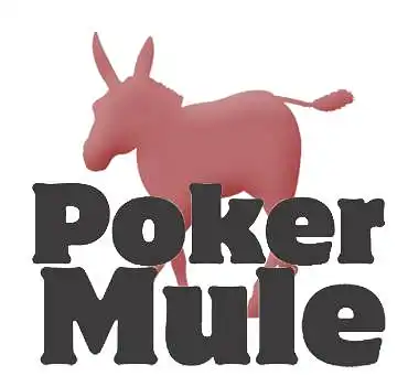 Pagalbinių pokerio programų poreikio tyrimas