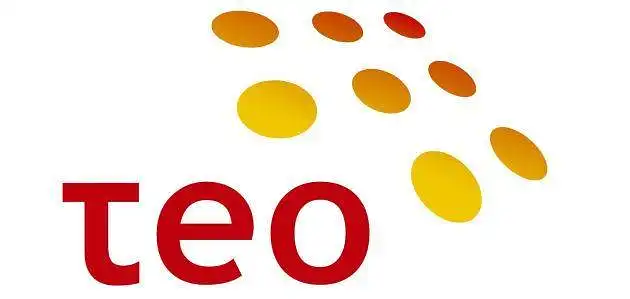 TEO interneto paslaugų paklausa