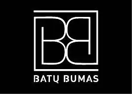 Kaip įvertintumėte pasirinktą įmonės logotipo visumą?