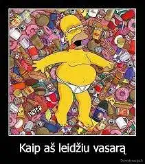 Ar dažnai vartojate alkoholinius gėrimus vasara?