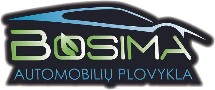 Automobilių priežiūros priemonių pirkimas internetu