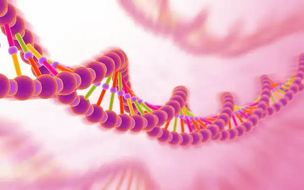 Visuomenės žinių apie GMO įvertinimas