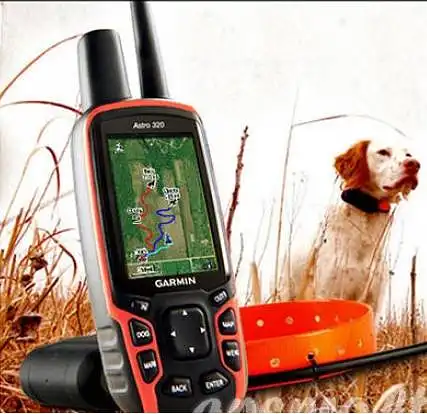 GPS antkakliai šunims