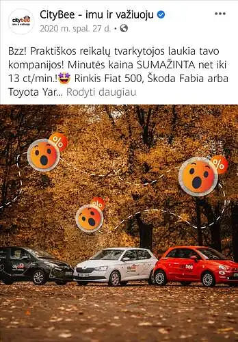 11.	Įvertinkite žemiau esančius įrašus pagal pateiktus kriterijus.