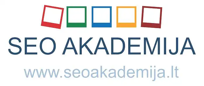 INTERNETINIO MARKETINGO PRIEMONIŲ TAIKYMO ANALIZĖ „SEO AKADEMIJOJE“