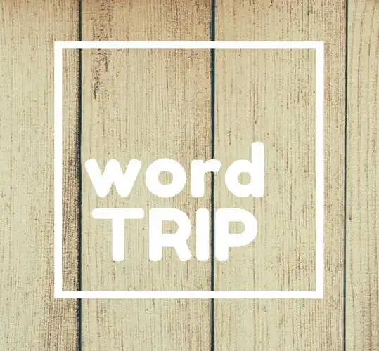 WordTRIP: kuo pasižymi idealus vertėjas?