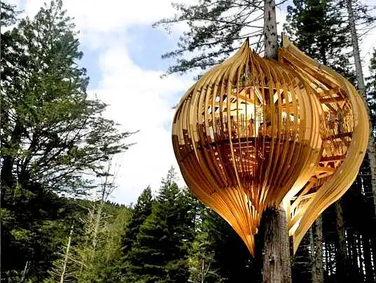 "TreeHouse"  - neįprastas baras medyje