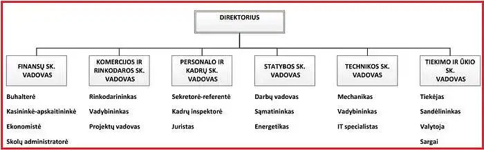Funkcinė OVS
