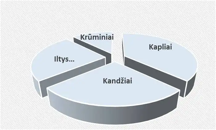 4.  Kokiuose dantyse dažniausiai pasireiškia dantų kaklelių jautrumas? 