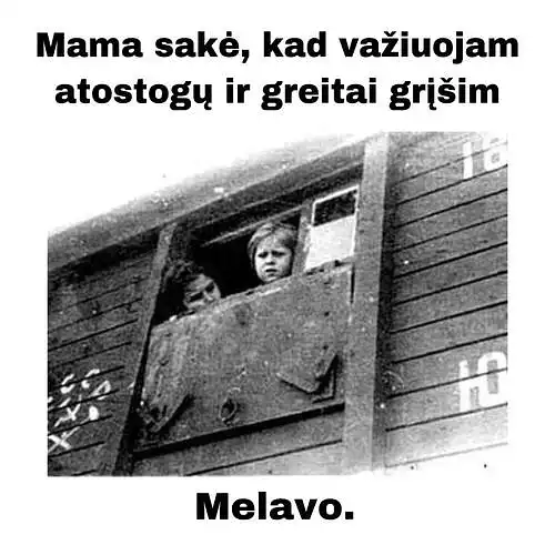 Ką manote apie šį memą?