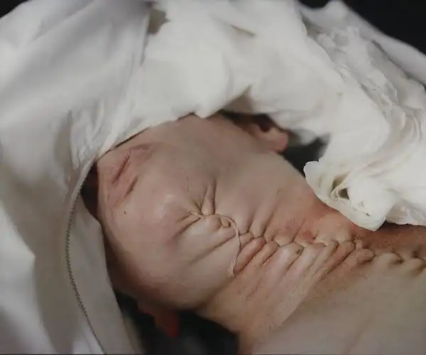 Kokias emocijas jums kelia A. Serrano "Dead by knife" iš ciklo "The morgue" (1992)?