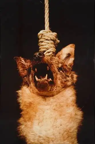 Kokias emocijas jums kelia A. Serrano "The Scream" (1986)?