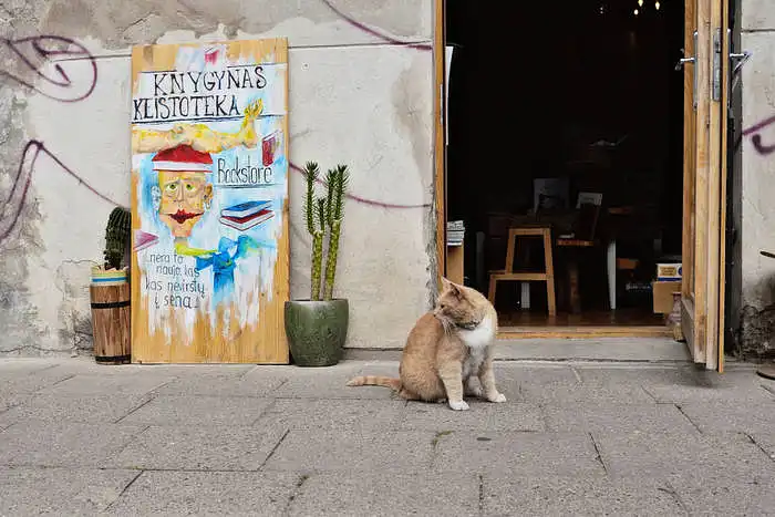1-10 paveiksluose pateikti viešosios išorinės įmonių reklamos pavyzdžiai. Įvardinkite kiekvienos įmonės specializacija (pvz. vaistinė, knygynas ir t.t.), remiantis vien tik iškaba arba išorėje esančiais tekstais. 