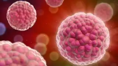 Moterų požiūris į gimdos kaklelio vėžio prevencijos programą