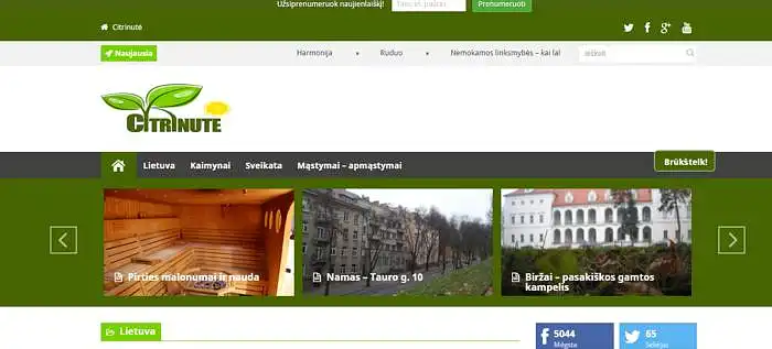 Kaip Jūs vertinate tinklalapio dizaina