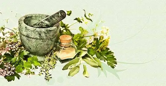 Liaudies medicina XXI amžiuje