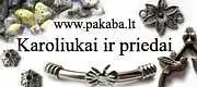 www.pakaba.lt