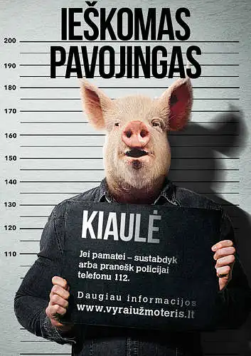 6. Kokias emocijas Jums kelia šis socialinės reklamos projektas "Vyrai už moteris"?