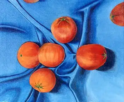 Papildomos spalvos schema