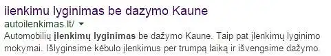 9. Kurie iš šių svetainės elementų matomi Google paieškos rezultatuose?
