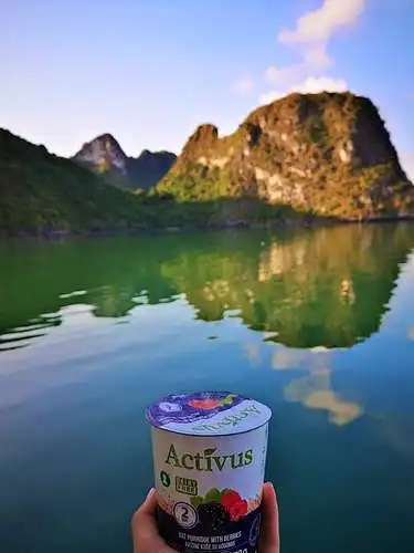 Vietnamas