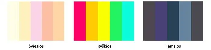 19. Kokios spalvos žaidime jums yra patrauklesnės? 