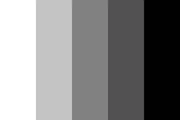 Nespalvota
