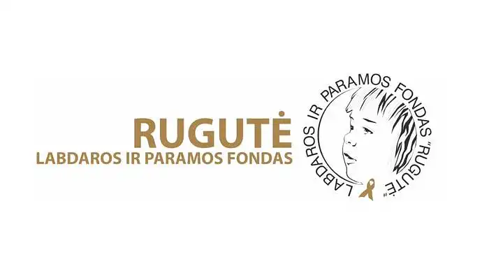 Labdaros ir paramos fondo „Rugutė“ pajamų analizė.