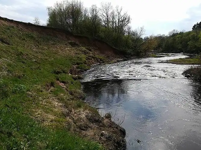 Murmulių atodanga