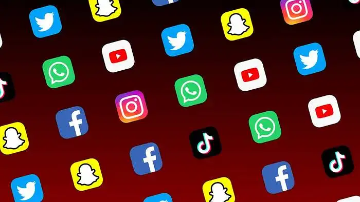 Internetinių socialinių tinklų panaudojimo galimybės ir perspektyvos iš verslaus jaunimo pozicijų