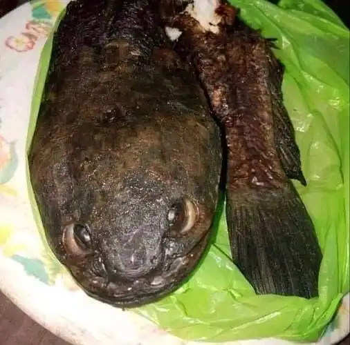 valgytum