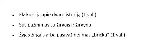 Pirmoji programa