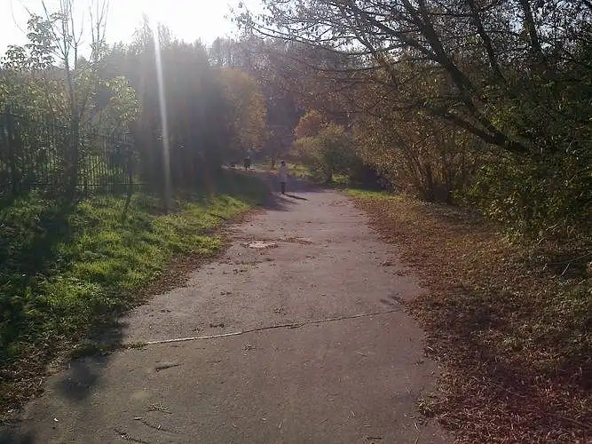 Kaip vertinate esamą teritorijos būklę?
