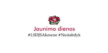 Apklausa apie Jaunimo dienų renginį