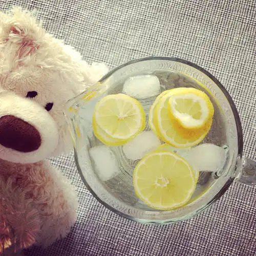 Žmonių požiūris į ligų prevenciją ir gydymą maisto produktais