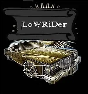 Relaksacinis gėrimas LoWRider