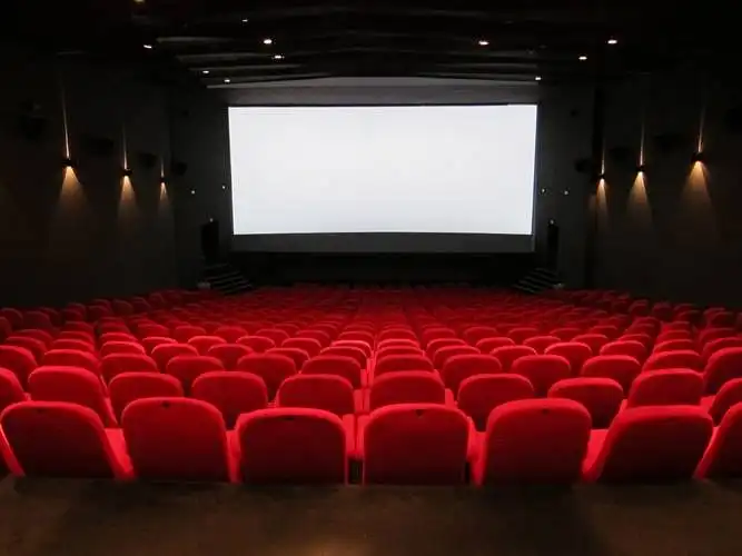 Kino pasiūla Lietuvoje. Kokiu kinu domitės ?