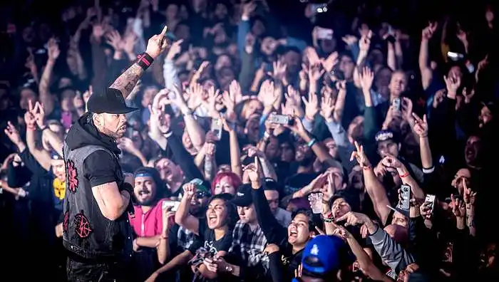 Hip - hop renginių reklamos įtaka muzikinės grupės įvaizdžio kūrimui
