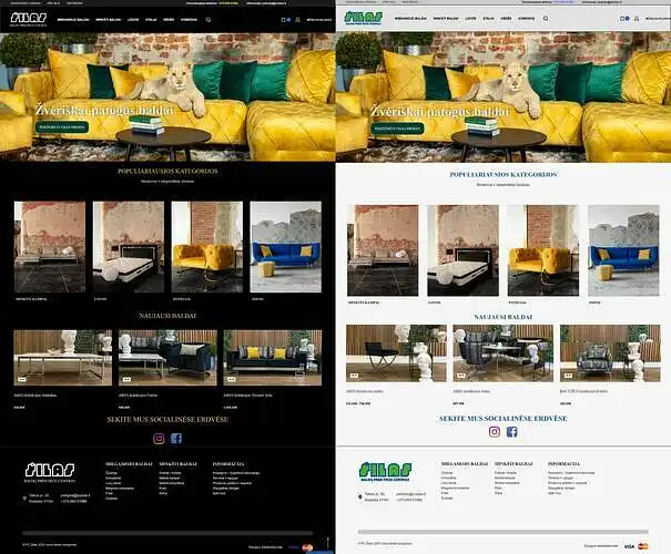 Kuris internetinės svetainės fonas Jums priimtinesnis?