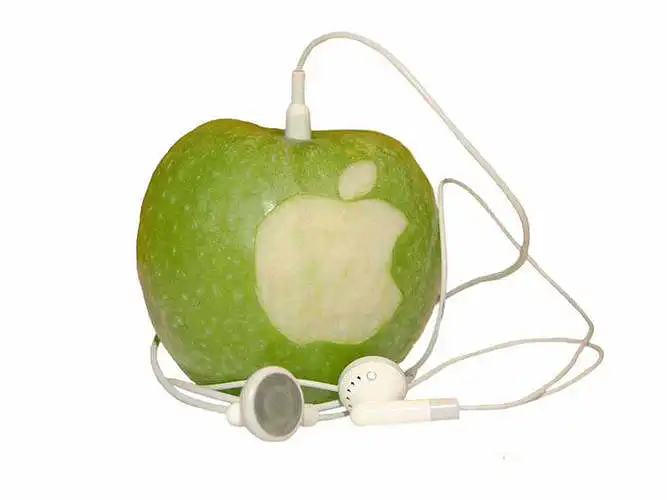  Influence on purchasing process of Apple‘s production