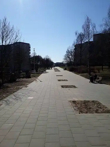 Pasirinkite, Jūsų nuomone, tinkamiausią pavadinimą skverui