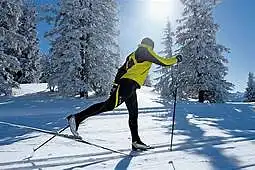 Kiek Laiko lankote sporto šaka?