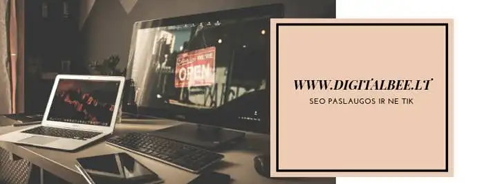 digitalbee.lt klausia ar žinote kas yra SEO?
