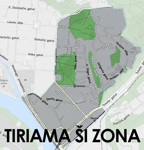 Kauno Naujamiesčio apleistų erdvių pritaikymo kūrybinėms industrijoms tyrimas