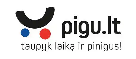 "Pigu.lt" Rinkos tyrimas