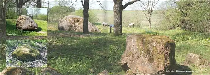 Ar ši teritorija jums teikia estetinį pasitenkinimą?