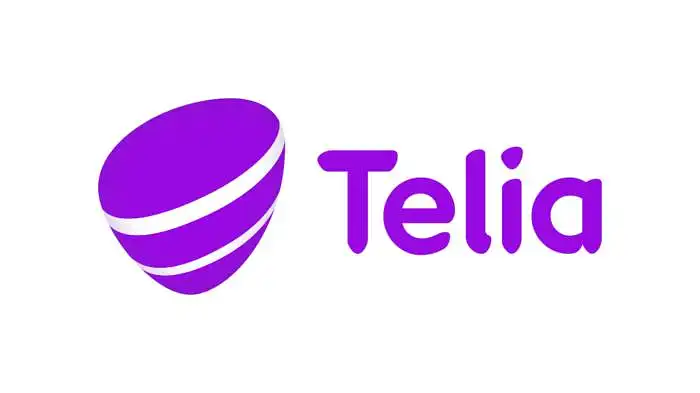 13. Kokios asociacijos Jums kyla, pamačius AB ,,Telia Lietuva” prekės ženklą, ?