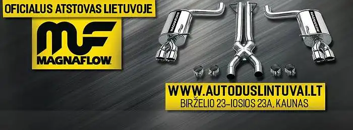 Verslo įvaizdį socialiniuose tinkluose www.autoduslintuvai.lt atvejis