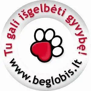 Gyvūnų globos namai beglobis. lt 